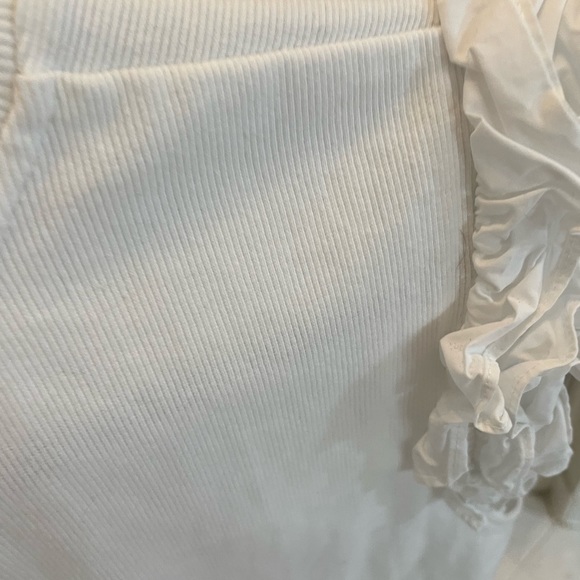 Anthropologie Plus Size Flutter Sleeve - size 2X - Picture 2 of 3